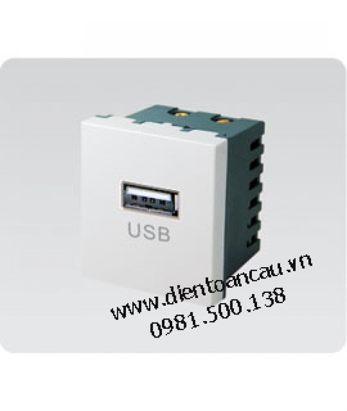 Hạt ổ cắm usb A50-88530