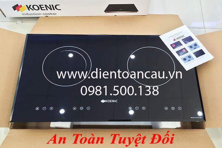 bếp điện từ nhập khẩu giá rẻ