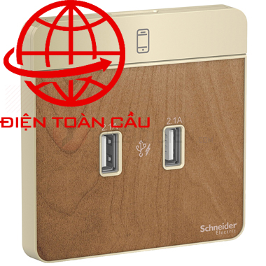 ổ cắm usb Schneider