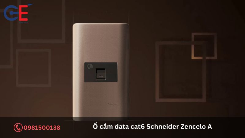 Cấu tạo của ổ cắm data cat6 Schneider Zencelo A