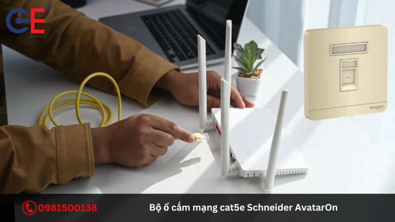 Địa chỉ cung cấp bộ ổ cắm mạng cat5e Schneider AvatarOn?