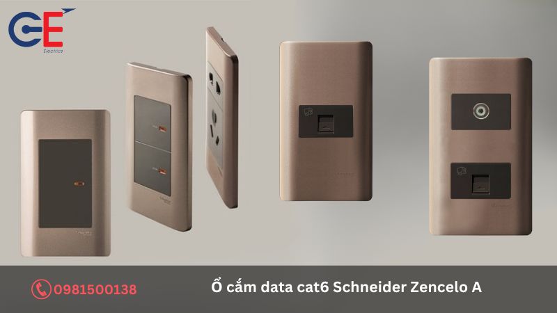 Địa chỉ cung cấp ổ cắm data cat6 Schneider Zencelo A?