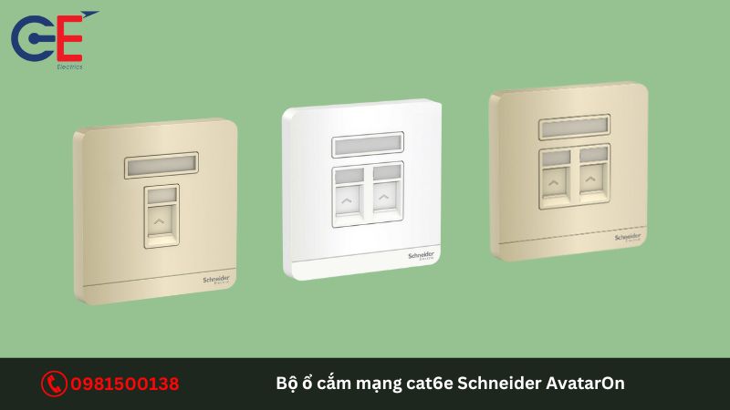 Địa chỉ cung cấp bộ ổ cắm mạng cat6e Schneider AvatarOn?
