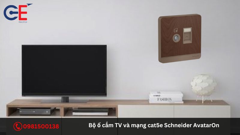 Ưu điểm của bộ ổ cắm TV và mạng cat5e Schneider AvatarOn 