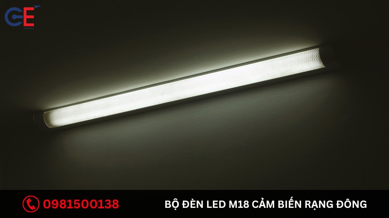 Bộ đèn Led M18 cảm biến Rạng Đông là gì
